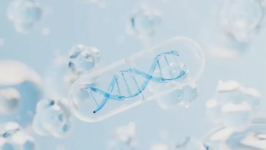 Fortschrittliche Forschung und Entwicklung: EnduraClear und DNA Guard-Technologie